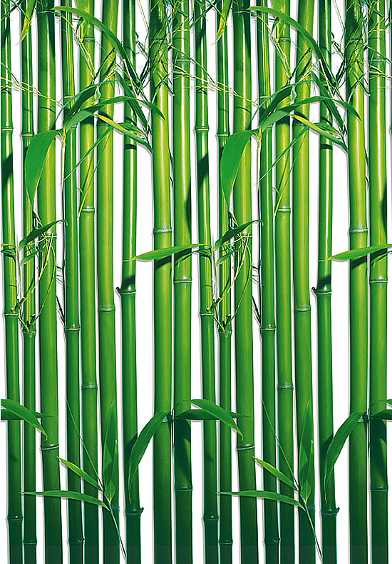  Bamboo  Wall Mural  421 by Ideal Decor